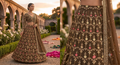 Premium Georgette Gota Patti Fabric – Earthy Brown